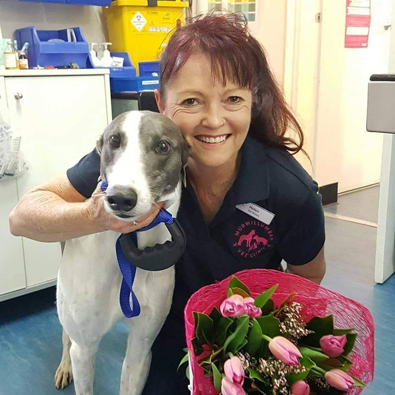 Murwillumbah Vet - Meet Our Team - Helen