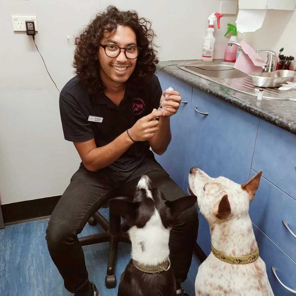 Murwillumbah Vet Clinic - Meet Our Team - Dr Arjuna (Aj)